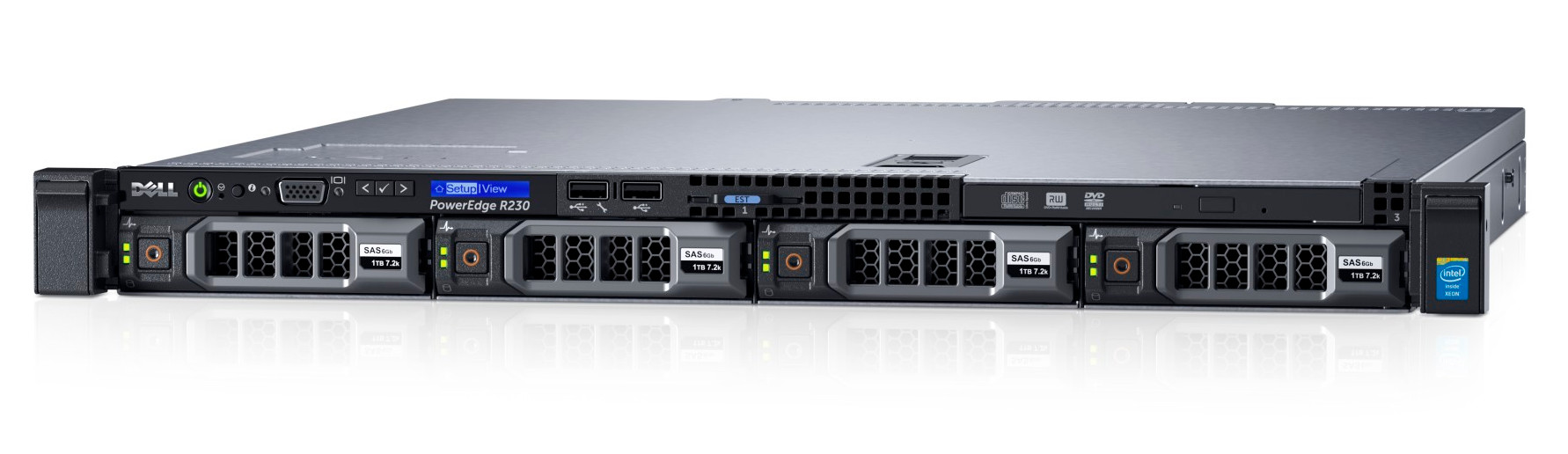 Server Dell rack PowerEdge R230